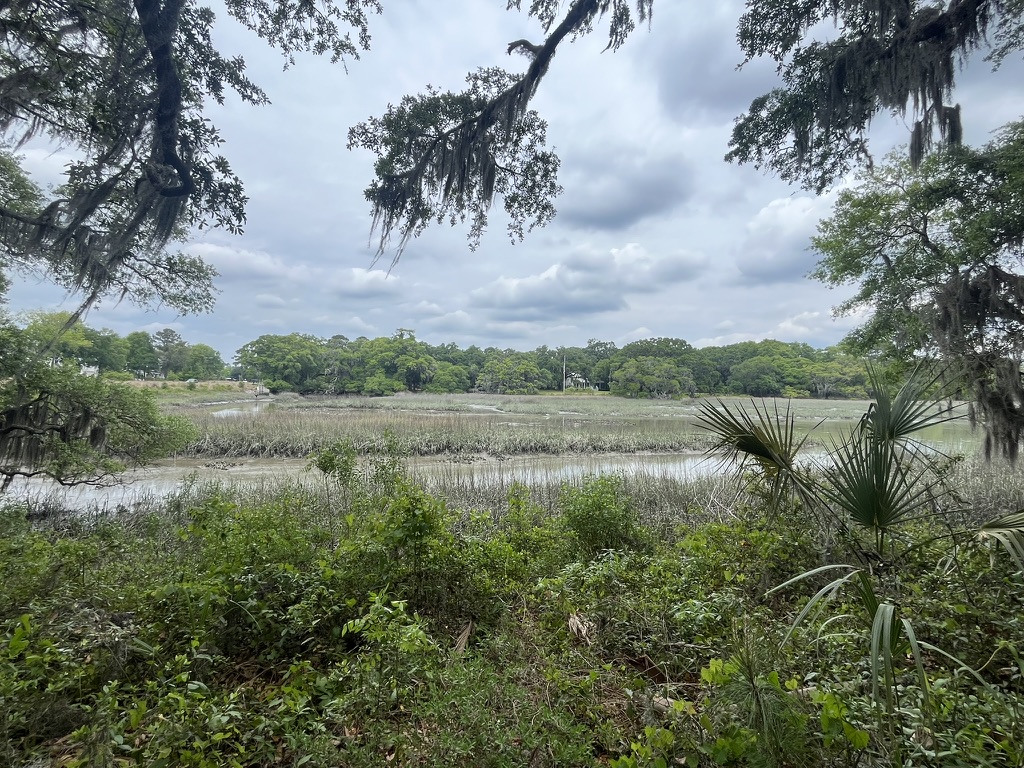 Salt Marsh on John's Island, SC